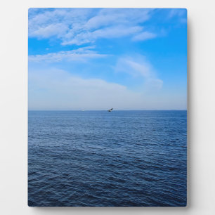 Calm Black Sea Romania – Seagulls Blue Sky Print Plaque