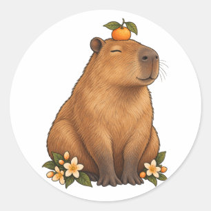 Calm Capybara with Orange and Citrus Blossoms Classic Round Sticker