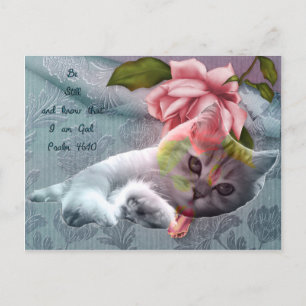Calm cat comfort scripture postcard