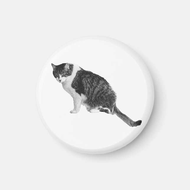 Calm Cat Magnet Invites Peace Into Home Spaces (Front)