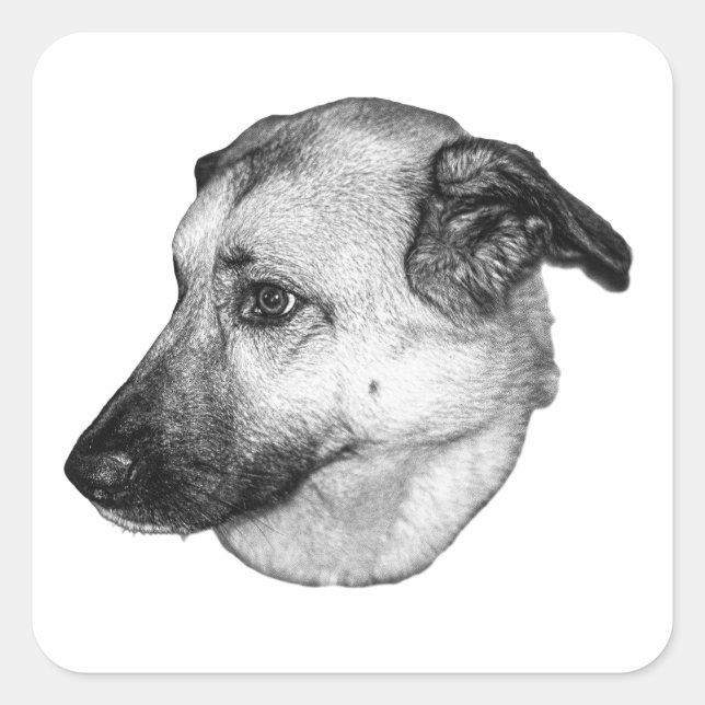 Calm Companion, Grayscale Sticker (Front)