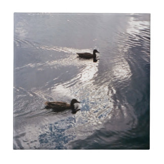 Calm Ducks Before the Storm Tile
