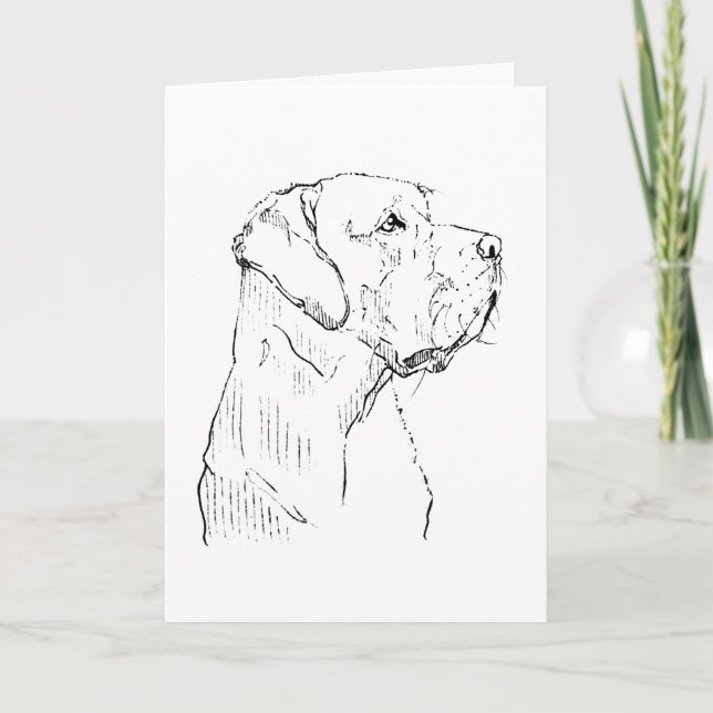 Calm Labrador Retriever Greeting card (Front)