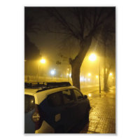 Calm Nightfall wrapped in Fog 