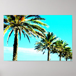 calm palm poster