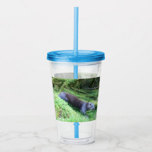 Calm River Otter Scenic Wildlife Relaxing Nature Acrylic Tumbler