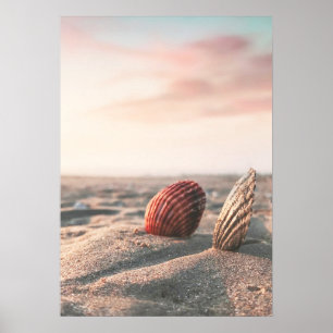 Calm Sand Beach Sea Shell Ocean Photography Poster
