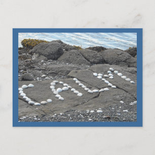 Calm - Seashell Word Art Postcard