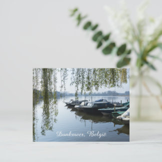 Calm Spring Morning, Donk Lake Belgium Holiday Postcard