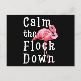 Calm The Flock Down Flamingo Girl  Funny Flamingo Postcard