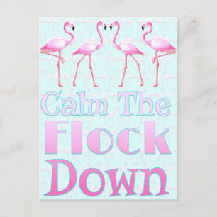 Calm The Flock Down Postcard