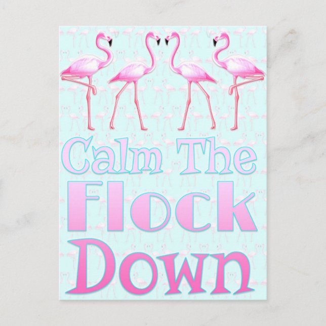 Calm The Flock Down Postcard (Front)
