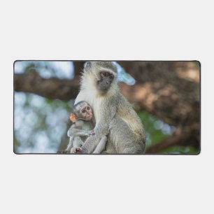 Calm Vervet Monkey in Nature Desk Mat