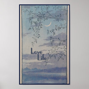 calm view poster