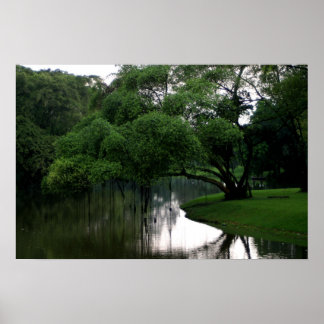 Calm Waters Poster