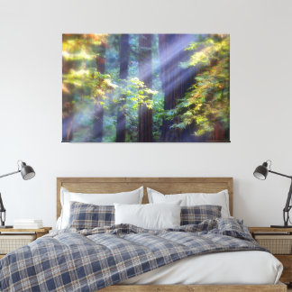 Calming Foggy Forest of Fall Canvas Print