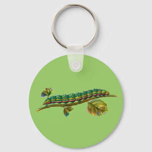 Calocampa vetusta caterpillar key ring