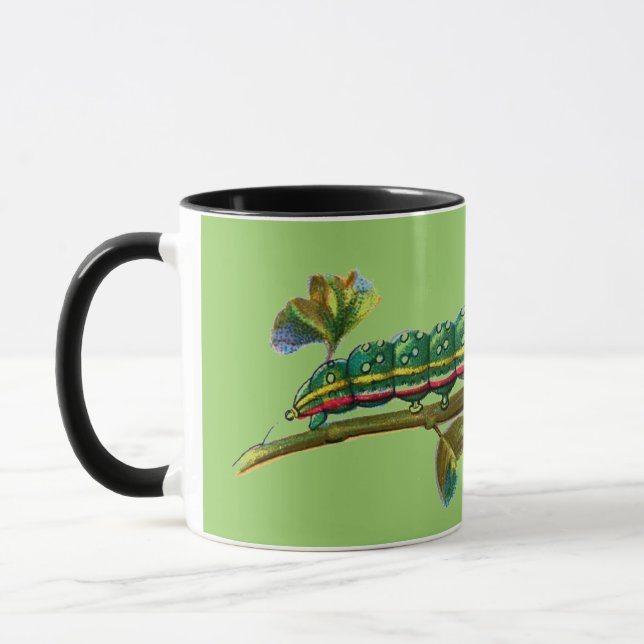 Calocampa vetusta caterpillar mug (Left)