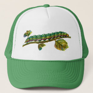 Calocampa vetusta caterpillar trucker hat