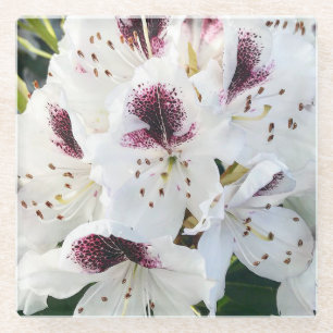 Calsap Rhododendrons Glass Coaster