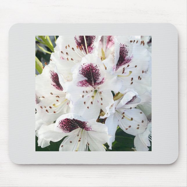 Calsap Rhododendrons Mouse Pad (Front)