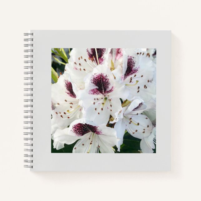 Calsap Rhododendrons Notebook (Front)