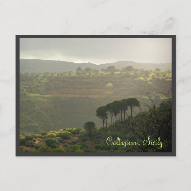 Caltagirone. Sicily Postcard (Front)