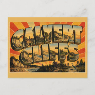 Calvert Cliffs Maryland Fossil Cliffs Forest Art Postcard