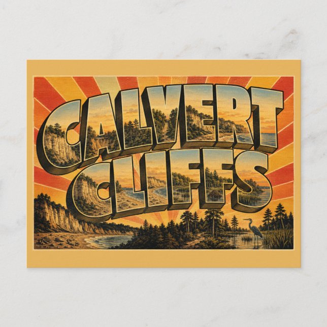 Calvert Cliffs Maryland Fossil Cliffs Forest Art Postcard (Front)