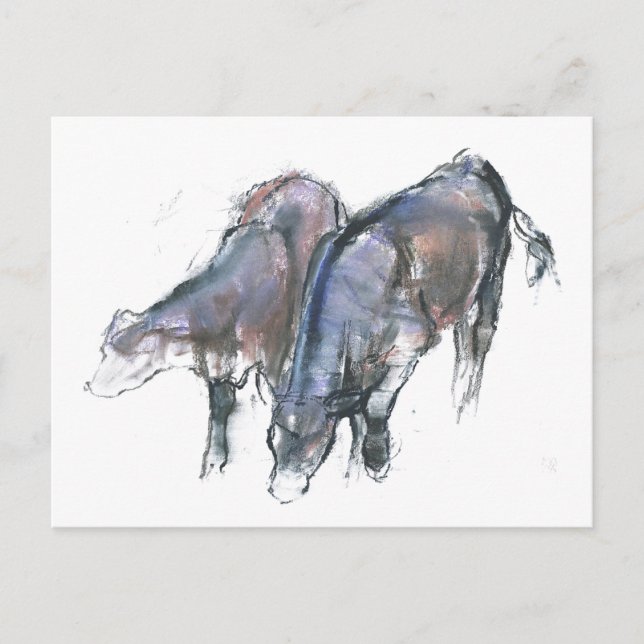 Calves 2006 postcard (Front)