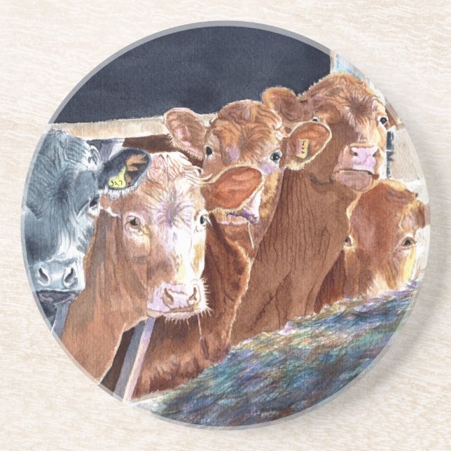 Calves at Brunch Coaster (Front)
