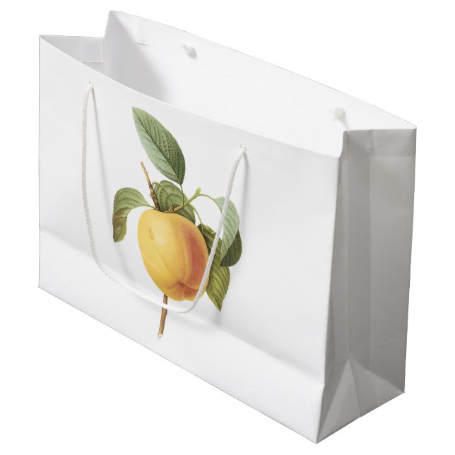 Calville apple(Malus sp.) by Redouté Large Gift Bag (Front Angled)