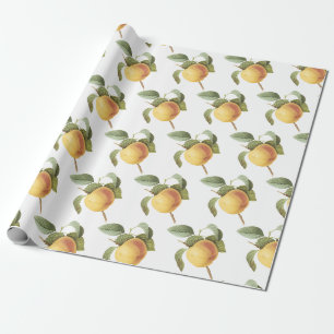 Calville apple Pattern Wrapping Paper