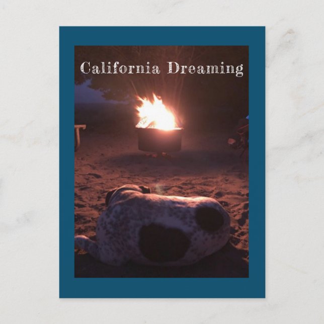 Calvin the Sleeping Dog Postcard (Front)