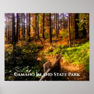 Camano Island State Park in Fall  Poster