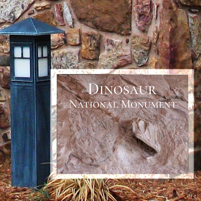 Camarasaurus Skull, Skeleton, Dinosaur Ntl. Park Postcard (Creator Uploaded)