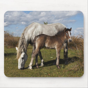 Camargue Horse Foal with Mother Mouse Pad