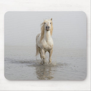 Camargue Horse Running in Water Mouse Pad