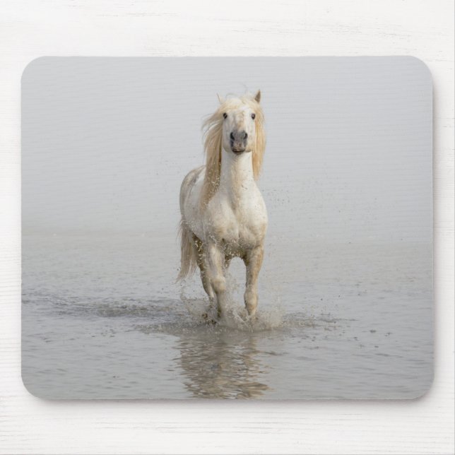 Camargue Horse Running in Water Mouse Pad (Front)