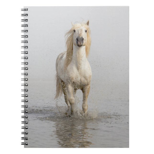 Camargue Horse Running in Water Notebook (Front)