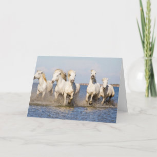 Camargue Horses Card