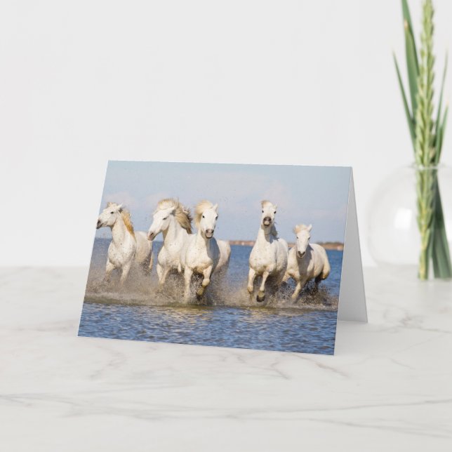 Camargue Horses Card (Front)