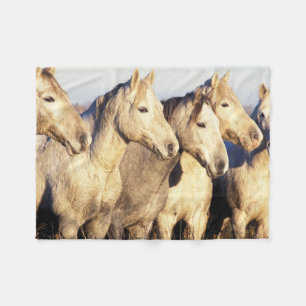 Camargue Horses (Eguus caballus) Fleece Blanket