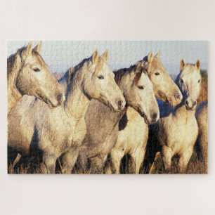 Camargue Horses (Eguus caballus) Jigsaw Puzzle