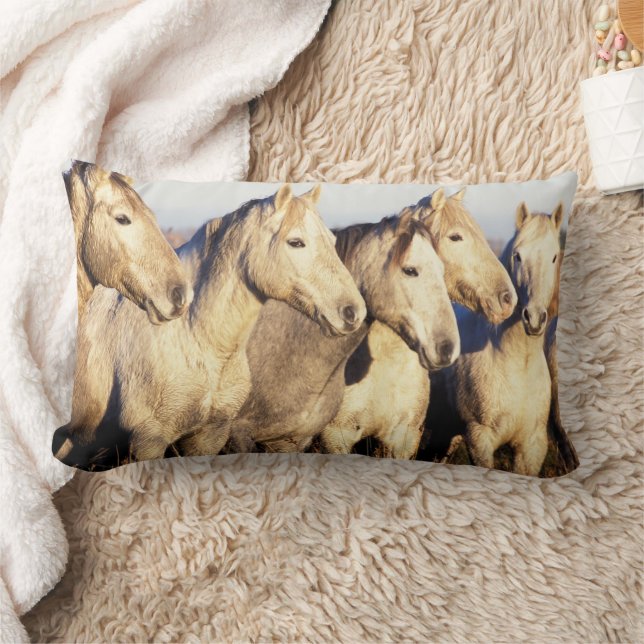 Camargue Horses (Eguus caballus) Lumbar Cushion (Blanket)