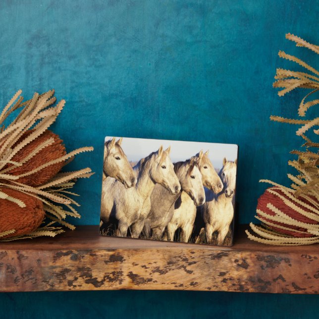 Camargue Horses (Eguus caballus) Plaque (Side)
