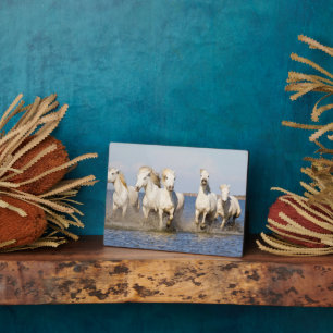 Camargue Horses Plaque