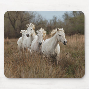 Camargue Horses Running Mouse Pad