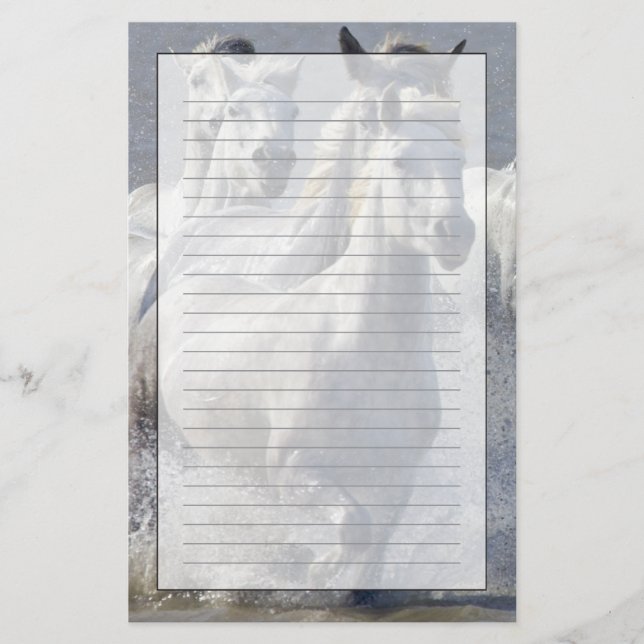 Camargue horses running on marshland to cross stationery (Front)