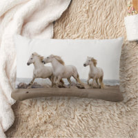 Camargue Horses Running on the Beach